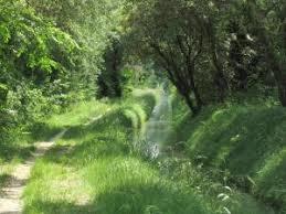 Parc Naturel Régional des Alpilles